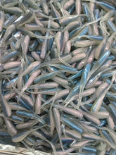 Load image into Gallery viewer, 1.5" &amp; 2" Minnows