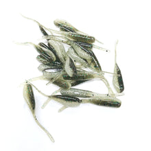 Load image into Gallery viewer, 1.5" &amp; 2" Minnows